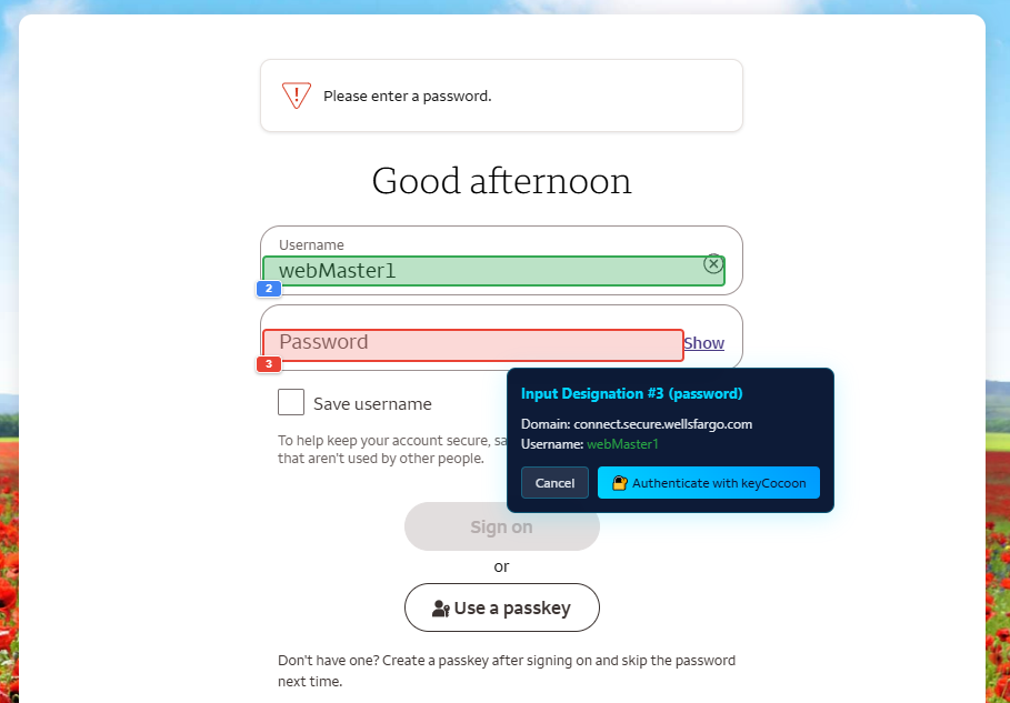 Wells Fargo login with keyCocoon credential injection